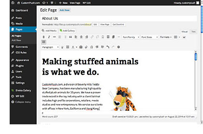 WordPress Admin